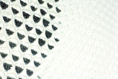 Moxie Surfaces - 2010 10 29 15 24 13 DC Orgatec