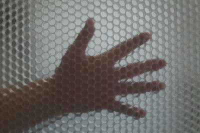 Moxie Surfaces - DSC09344