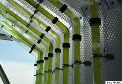 Moxie Surfaces - DSC 0049