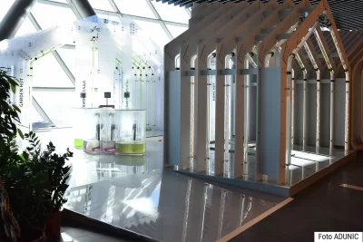 Moxie Surfaces - DSC 9946