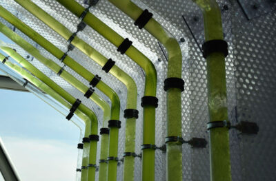 Moxie Surfaces - WorldExpo17 Astana IV