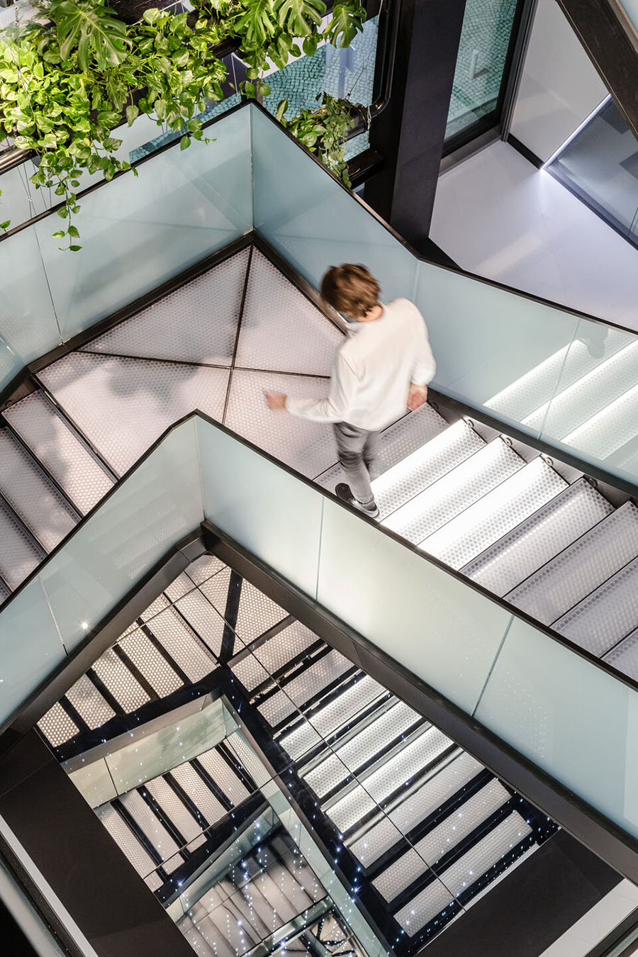 Moxie Surfaces - clear-PEP UV PC Stage