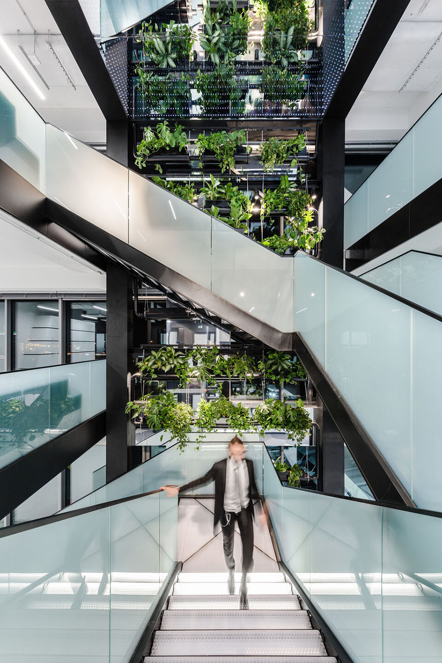 Moxie Surfaces - clear-PEP UV PC Stage