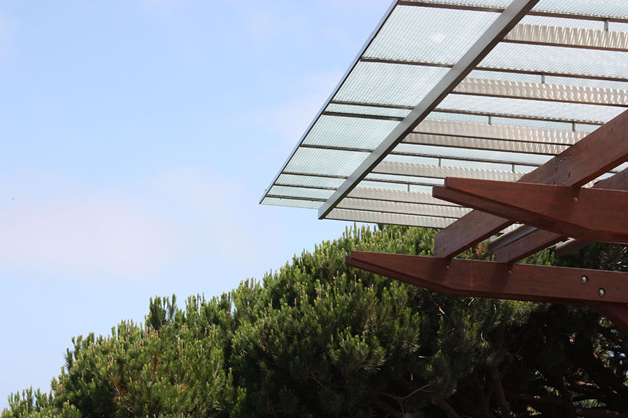 Moxie Surfaces clear-PEP canopy