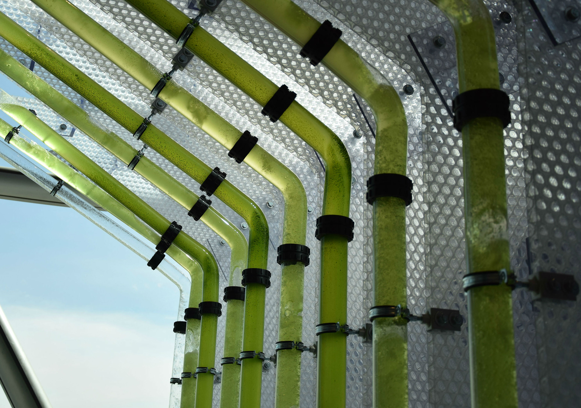 Premium clear-PEP translucent honeycomb panels used in architecture