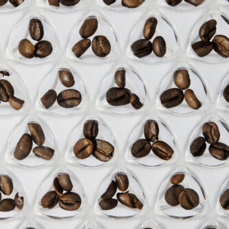 Bespoke clear-PEP panel - coffee beans in core Bespoke clear-PEP panel - coffee beans in core
